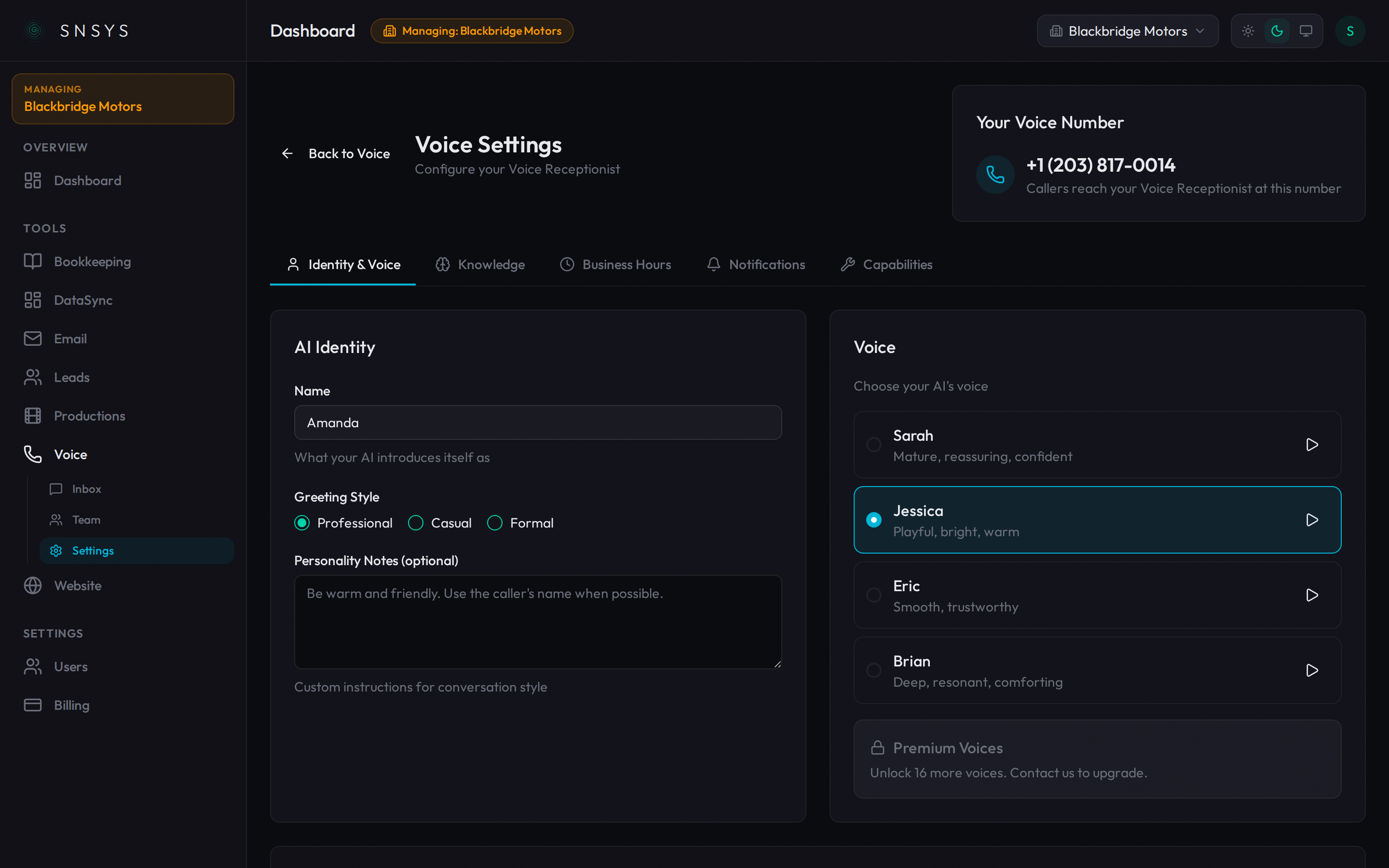 Voice settings showing AI identity and voice configuration